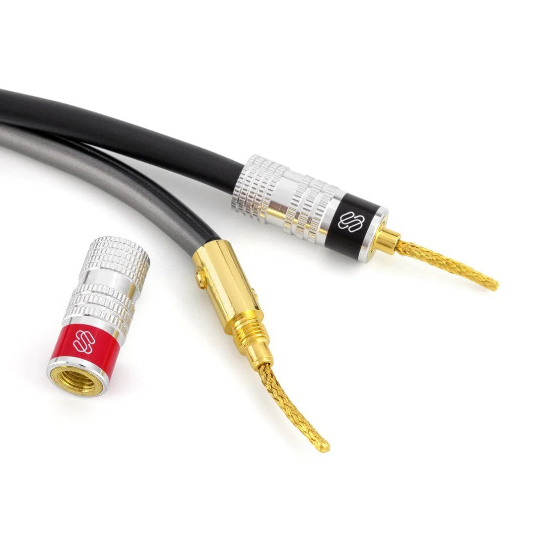 Silverback Flex Pin Connectors (2025) – Dual-Screw, 24k Gold, Spring Terminal Speaker Wire Connectors (Up to 10 AWG) - Image 4