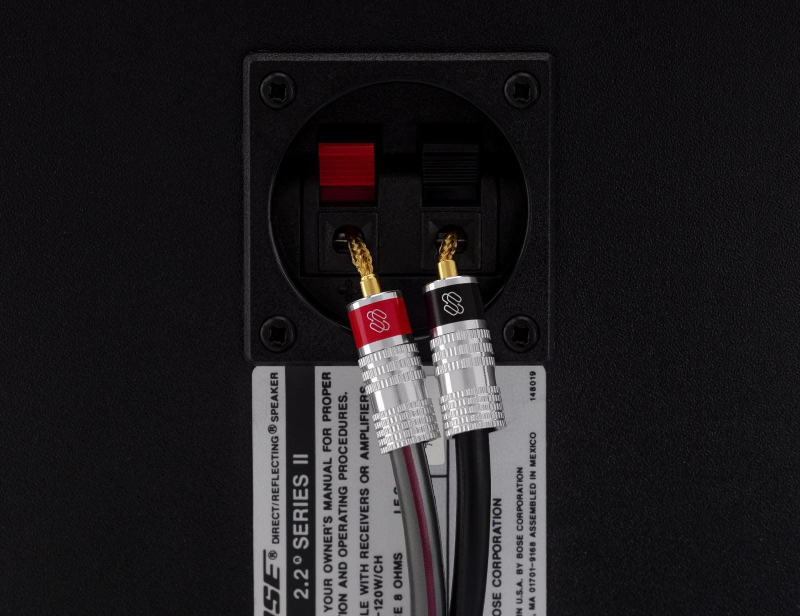 Silverback Flex Pin Connectors (2025) – Dual-Screw, 24k Gold, Spring Terminal Speaker Wire Connectors (Up to 10 AWG) - Image 6