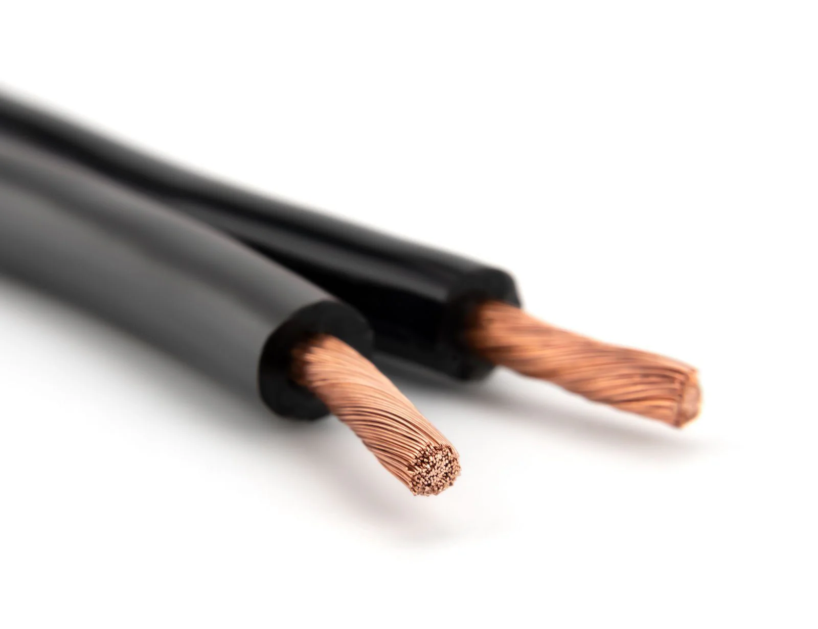 Silverback 12 AWG Speaker Wire – Oxygen-Free Copper, 259 Strand, High-Performance Audio Cable (CL3 Rated) - Image 3